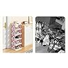 Smart Foldable Shoes Tier Shoe Rack 4 Layer